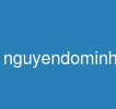 nguyendominhson.xyz