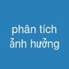 phân tích ảnh hưởng