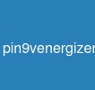 pin9venergizer