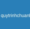 quytrinhchuanhoadulieu