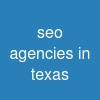 seo agencies in texas