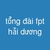 tổng đài fpt hải dương