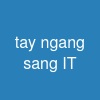 tay ngang sang IT