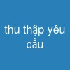 thu thập yêu cầu