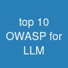 top 10 OWASP for LLM