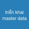 triển khai master data