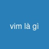 vim là gì