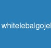 whitelebalgojekcloneapp