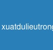 xuatdulieutrongjava