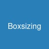 Box-sizing