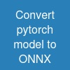Convert pytorch model to ONNX