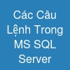 Các Câu Lệnh Trong MS SQL Server