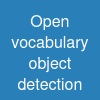 Open vocabulary object detection