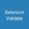 Selenium Validate
