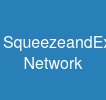 Squeeze-and-Excitation Network