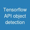 Tensorflow API object detection