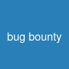 bug bounty