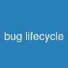 bug lifecycle