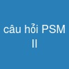 câu hỏi PSM II