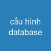 cấu hình database