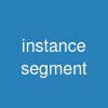 instance segment