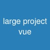 large project vue