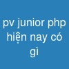 pv junior php hiện nay có gì
