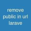 remove public in url larave