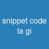 snippet code la gi