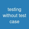 testing without test case