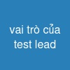 vai trò của test lead