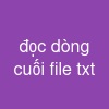 đọc dòng cuối file txt