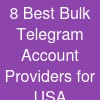 8 Best Bulk Telegram  Account Providers for USA Businesses