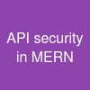 API security in MERN