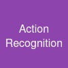 Action Recognition