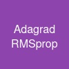 Adagrad RMSprop