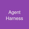 Agent Harness