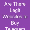 Are There Legit Websites to Buy Telegram Members in 2026?