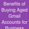 Benefits of Buying Aged Gmail Accounts for Business Growth