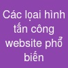 Các lọai hình tấn công website phổ biến