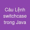 Câu Lệnh switch-case trong Java