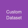 Custom Dataset