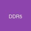 DDR5