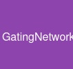 GatingNetwork