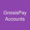 GnosisPay Accounts
