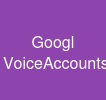 Googl VoiceAccounts
