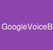 GoogleVoiceBulk