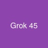 Grok 4.5