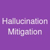 Hallucination Mitigation