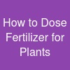 How to Dose Fertilizer for Plants